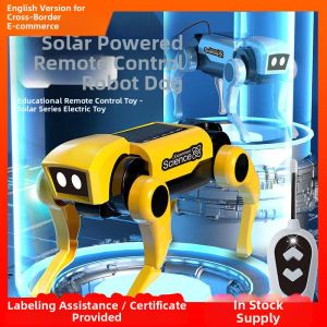 LIWAN | Educational Solar Powered DIY RC Dog Toy