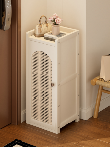 ZHUSHANXIA | Narrow Entryway Shoe Cabinet with Door for Small Spaces