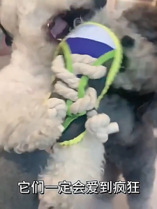 Dog Toys Grinding Teeth Resistant Biting Sound Shoes Relieves Boredom and Consumes Physical Strength