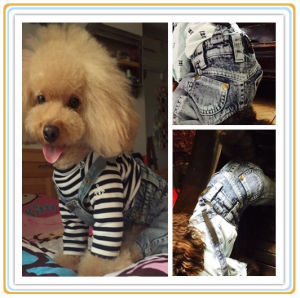 Pet Fall and Winter Dog Denim Suspender Pants & British Washed Cotton Teddy Outfits