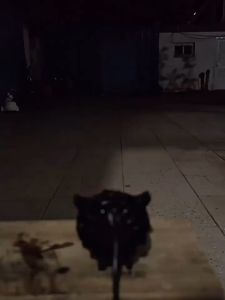 2ชิ้น นกฮูก LED สปอร์ตไลท์มอเตอร์ไซค์ ไฟหน้า led มอไซค์ ไฟสปอตไลท์มอไซ ไฟสองส แพ็ค ไลท์มอเตอร์ไซค์ ไฟสปอร์ตไลท์มอเตอร์ไซค์ ไฟมอเตอร์ไซค์ สปอตไลท์สองสี ไฟledมอเตอร์ไซค์ สปอตไลท์รถมอไซ led