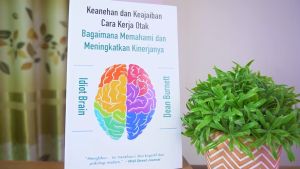 Buku Idiot Brain - Keanehan dan Keajaiban Cara Kerja Otak Bagaimana Memahami dan Meningkatkan Kinerjanya / Buku Pengembangan Diri