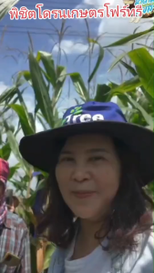 4Tree (โฟร์ทรี) 5 ซอง ใช้ได้ 80--100 ไร่ สารเสริมประสิทธิภาพ พืชโตเร็ว จากประเทศ อิสราเอล ของเเท้100% พร้อมส่งทุกวัน