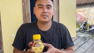 Madu Klanceng ABS / Madu Klanceng trigona dari Lebah tak bersengat