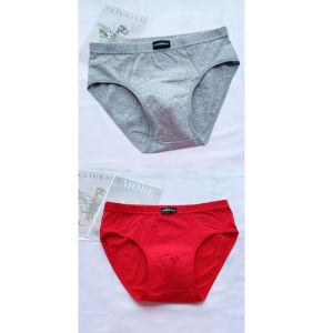 Large Size Cotton Modal Mens Underwear Triangle Shorts 2-4 Pairs Breathable Comfortable Antibacterial Youth Innerwear Briefs