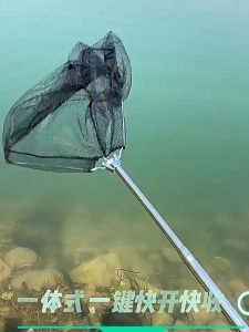 Integrated Fishing Handle & Compact Fishing Gear: A Comprehensive Guide