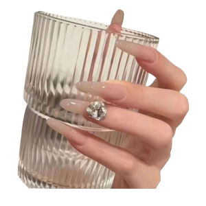 Nhựa Giả Móng Tay Tự Nhiên Cho Phụ Nữ Mùa Thu Đông Đính Đá Pha Lê Trong Suốt Dễ Mang Theo Và Bền Màu