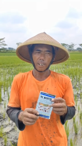 De Besttan 15 Gram Insektisida Obat Keong Sawah Fentin Acetate Debestan Plus Moluskisida