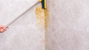 Sikat Panjang 2 in 1 Wiper Serok Brush Broom Mop Cleaner Bersih UR377