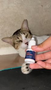 Clever Solutions - EYE PLUS DROPS (Obat Tetes Mata Kucing Obat Sakit Mata Kucing Belekan Iritasi Infeksi Berair)