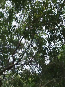 BASE OUT ปลอกแขนกันยูวีสำหรับเล่นกีฬากลางแจ้งสำหรับผู้ชายและผู้หญิง