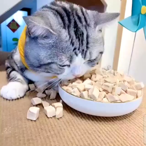 Bánh thưởng thịt gà thịt cá hồi sấy khô cho Chó Mèo dạng viên (mẫu mới) - Love Pets Shop