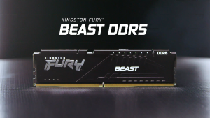 Kingston Fury Beast DDR5 16GB/32GB 16Gbit DRAM AMD EXPO Desktop Gaming RAM Black - Memory Module