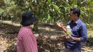 ปุ๋ยน้ำ แมกม่า-ลาวา ชุดแพคคู่ สารเสริมประสิทธิภาพ ปุ๋ยทางใบ ใช้ได้กับพืชทุกชนิด ของแท้ 100%