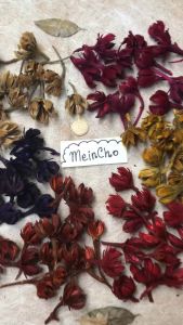 (50gr/24biji) Bunga WARU Kering Bunga Puspa Dried Flower Mahar Rustic Properti Foto Dekorasi Rustik