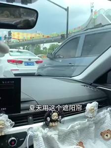 Màn Che Nắng cho Ô Tô ở Vị Trí Phụ