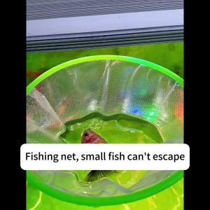 Fine Fish Net For Artemia BBS Daphnia Guppy Betta Fry etc. - Aquapet 1pcs