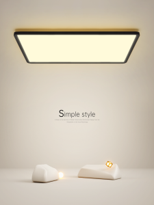 Minimalist Modern Ultra-thin LED Ceiling Light