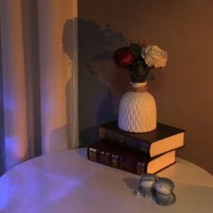 โคมไฟ หัวเตียง 16 สี ดอกกุหลาบ คริสตัล เพชร ใช้สำหรับห้องนอน ห้องนั่งเล่น ไฟโต๊ะอาหาร มี