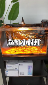 Đèn Rọi Bể Cá Thủy Sinh 3w-5w Tùy Chỉnh Tiêu Cự Dành Cho Bể Biotope Gom Và Tỏa Ánh Sáng Tùy ÝĐộ Thẩm Mỹ Cao