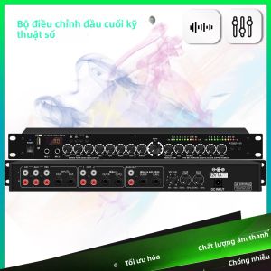 Bộ Xử Lý Âm Thanh Kỹ Thuật Số Chuyên Nghiệp Cho KTV Tích Hợp Bộ Chỉnh Âm Micro Bộ Xử Lý Tiền Hiệu Ứng Bộ Tạo Âm Vang Phía Trước Xử Lý Tín Hiệu Âm Thanh Sân Khấu