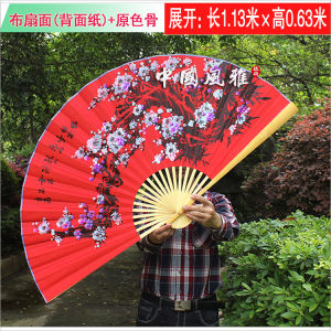 Red Plume Stage Decorative Fan
