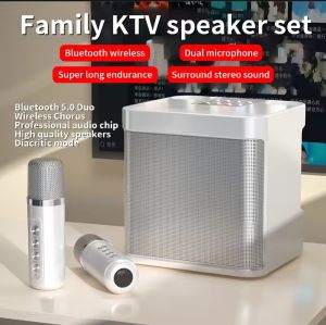 KD-203 Bluetooth Speaker with mic Wireless Bluetooth Dual Microphone Karaoke Speaker 3D Stereo Amplifier party