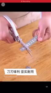 REVO SK5 Kitchen Scissors japan made Carbon Steel High Quality Multipurpose scissors stainless