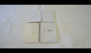 OBONanza OBON Fruits Orange A6