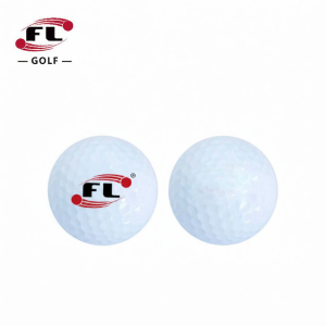 FL | Dual Layer Practice Golf Balls