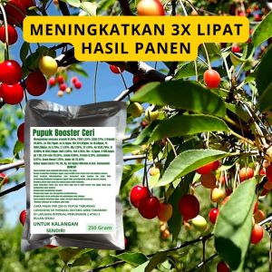Pupuk Booster Ceri / Obat Booster Buah Ceri / Pupuk Booster Buah Ceri / Pupuk Buah Ceri