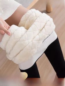 MiiOW | Womens Wool Fleece Lined High Waist Extra Thick Winter Leggings Warm Cotton Wool Pants Plus Size Online Exclusive
