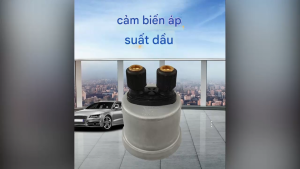 Cảm biến áp suất nhớt VDO 10 bar 10mm hàng chính hãng dùng cho máy phát điện Động cơ diezen