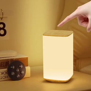 Rechargeable Touch Table Lamp RGB Dimmable Night Light with Remote Control Timed Bedside Lamp For Bedroom Living Room Lighting