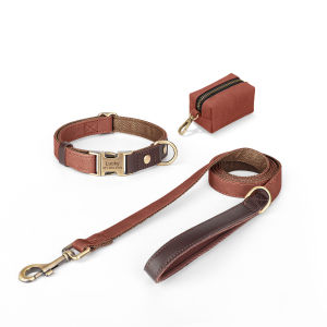 JINLINGJIE | Customizable Small Dog Collar