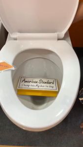 Nắp êm bồn cầu American Standard chính hãng KAG-VF4396EM nắp xí bệt Mỹ dài 45cm VF4395-VF4396-VF4397-VF4398 màu trắng nhựa dày bóng đẹp