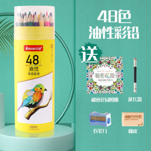 Baizhi Colored Pencil Water Soluble 72 Color 48 Color Lead Suit Hand Painted Erasable Color Lead 24 Color 36 Color Kids Kindergarten for Pupils Art Supplies Cartoon Coloring Art Supplies