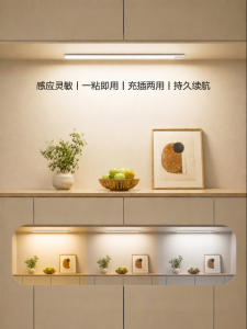 jiuxin lighting | Motion Sensor Wireless Remote Control LED Strip