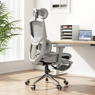 iDesk | Ergonomic Waist Support Chair