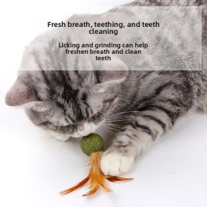 Cat Mint Toy Catnip Feather Ball Toy for Cats Teeth Cleaning Hairball Control Fresh Breath Chew Toy Interactive Play Chewing Toy