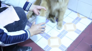 Pet Paw Cleaner Silicone Portable Outdoor for Dog