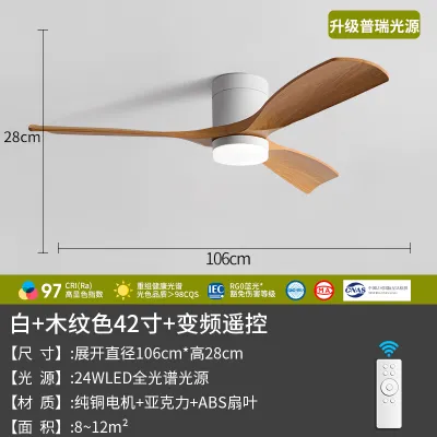 Modern Silent Inverter Ceiling Fan Light