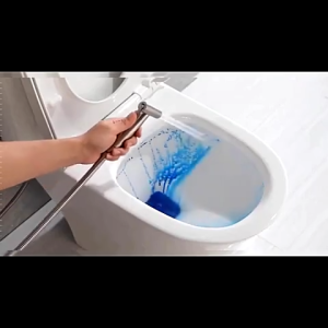 Anymore Toilet Bidet Sprayer 304 Stainless Steel Bathroom Bidet Spray Toilet Bidet Sprayer Stainless Steel 304 Bidet Set