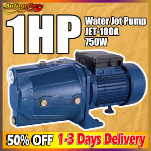 1HP Electric Jet Pump Water Pump Self Priming Jetmatic Heavy Duty Jet Booster Pump Motor 750W