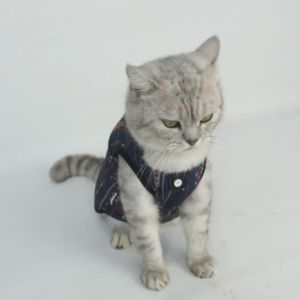 Baju Kucing Anjing Cewek Cowo Lucu Murah Gratis Ongkir - El-Zein Koko Tank Ramadhan Series 2025