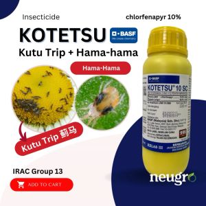 BASF Kotetsu 10SC 500ml Racun Serangga Kutu Trip/ Hama Chlorfenapyr 10% Insecticide Control Thrips/ Spidermite 杀虫剂 控制蓟马/红蜘蛛