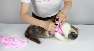 TEA7146 สะท้อนแสงสะท้อน สายจูงสัตว์เลี้ยง ลายดอกไม้ดอกไม้ ป้องกันการหลบหนี บังเหียนสำหรับลูกสุนัข อุปกรณ์เสริมสำหรับแมว ระบายอากาศได้ระบายอากาศ สายรัดหน้าอกแมว สุนัขตัวเล็กๆ