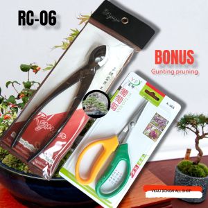 Catok/Krekut bonsai miring ryuga Rc-06