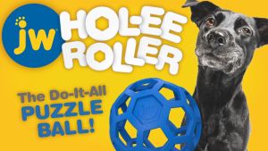 JW HOL-EE ROLLER Puzzle Dog Toy Ball บอลรังผึ้ง ใส่ขนมได้ ขายดีมาก ทนต่อการดึง ไร้สารพิษ กลิ่นวานิลลา
