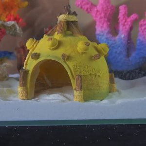 Hiasan Aquarium YELLOW TENT - Miniatur Ornament Pajangan Fishtank Diorama Aquascape Ikan Akuarium